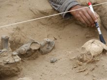 A man works on the remains of a child at the Bosque de Pomac archaeological complex in Lambayeque, Peru, Monday, July 19, 2010. According to archaeologist Carlos Elera, four 1,200-year old tombs, belonging to the Sican culture, where found during excavation works. (AP Photo/Karel Navarro)